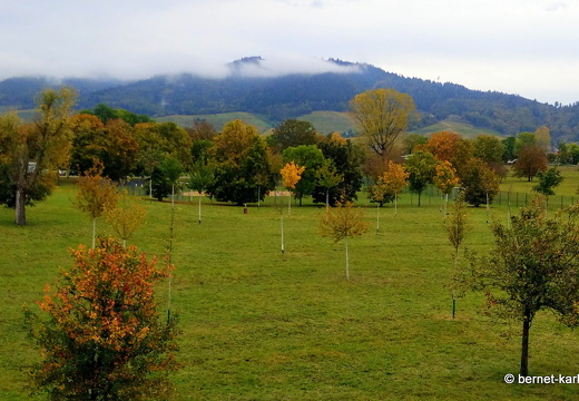 23-10-31-kinzig-am damm-001