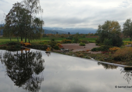 23-10-31-kinzig-am grossendeich-002