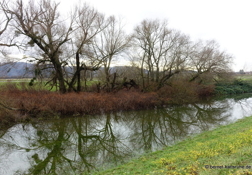 23-12-15-am grossendeich-hochwasser-005