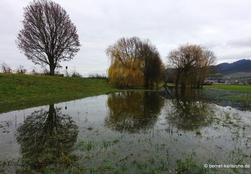 23-12-15-am grossendeich-hochwasser-043