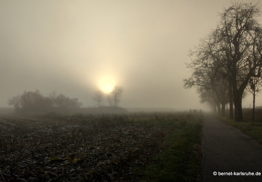 23-12-17-am grossendeich-nebel-004