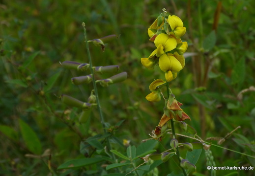 20-02-16-black rock-292