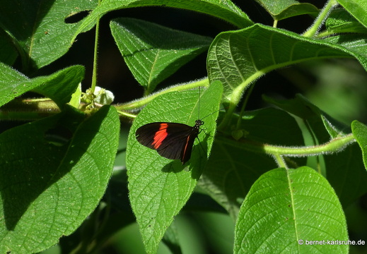 20-02-16-black rock-121