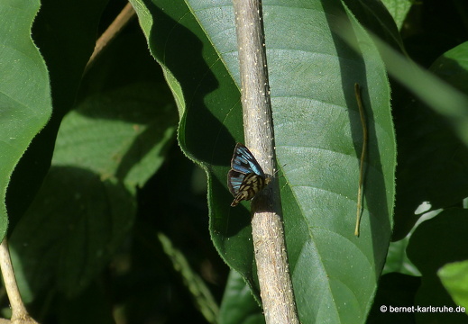 20-02-16-black rock-119