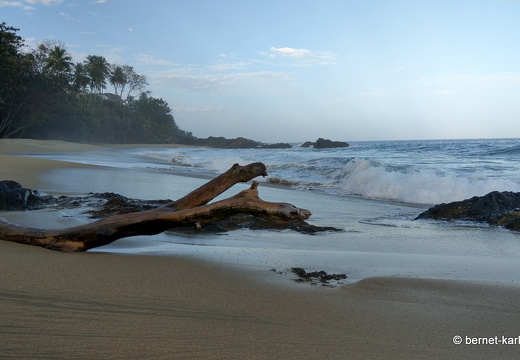 20-02-16-black rock-026