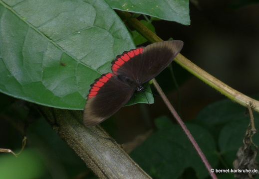 20-02-15-black rock-081