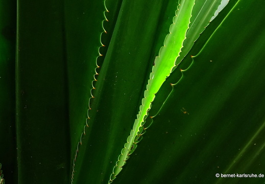 20-02-15-black rock-069