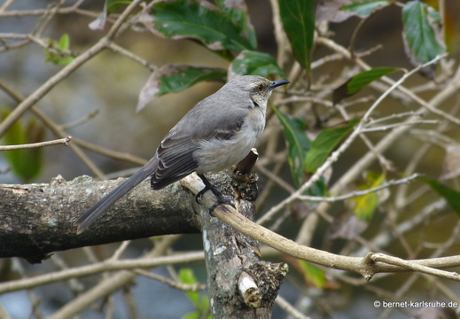 20-02-13-blackrock-ocean ripple-221