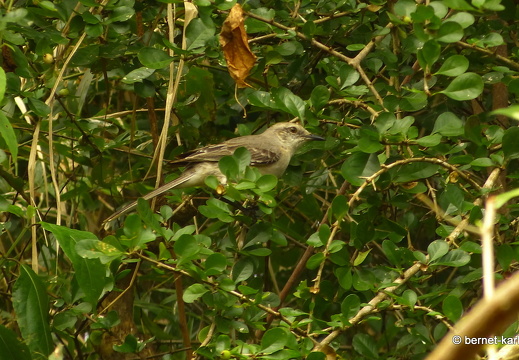 20-02-13-blackrock-ocean ripple-094