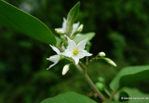 20-02-11-black rock-174