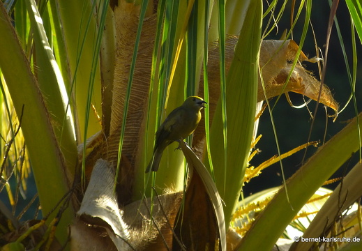 20-02-25-castarainn-137