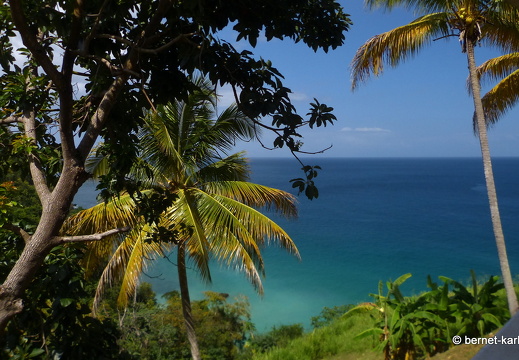 20-02-25-castarainn-karibikblau-