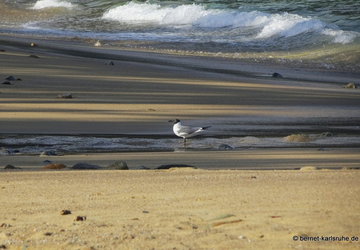 20-02-25-castarainn-045