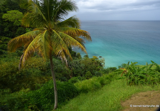 20-02-22-castarainn-karibikblau-002