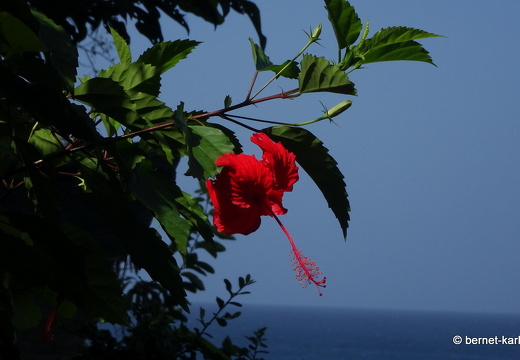 20-02-20-castara-156