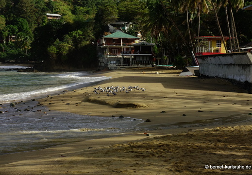 20-02-19-castara-049