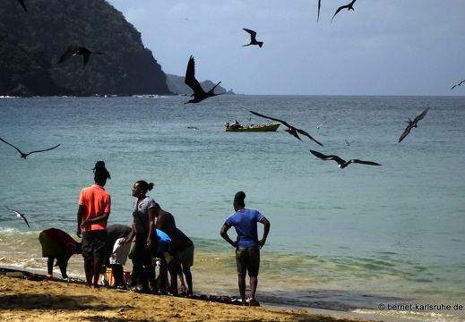 20-02-18-castara-strandfischer-004