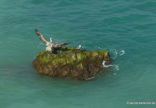 20-02-17-castarainn-007