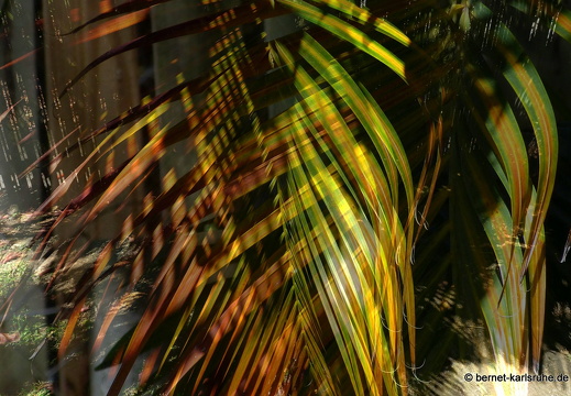 20-03-13-bonaccord-palm breeze villa-001