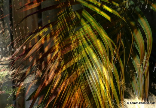 20-03-13-bonaccord-palm breeze villa-