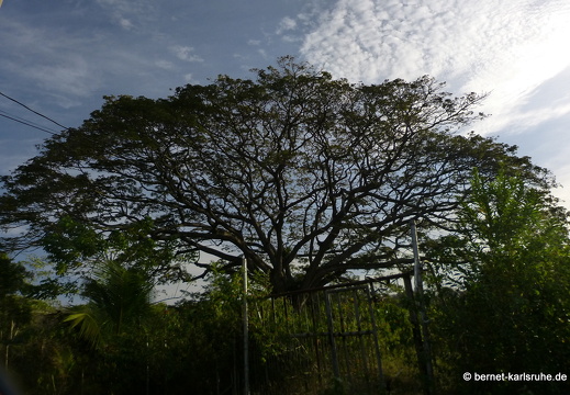 20-03-10-bonaccord-008