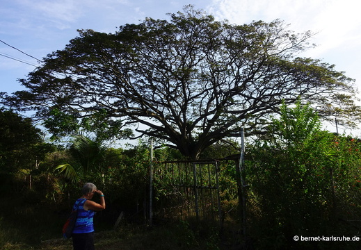 20-03-10-bonaccord-007