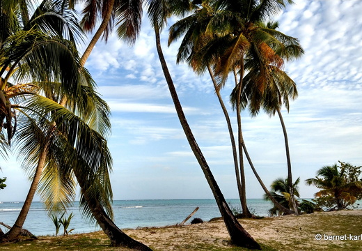 20-03-09-bonaccord-pigeonpoint-002