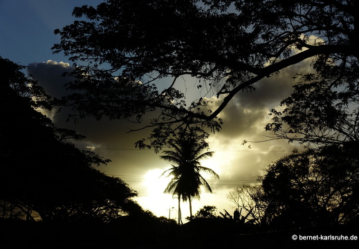 20-03-08-bonaccord-026