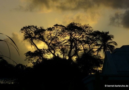 20-03-08-bonaccord-017