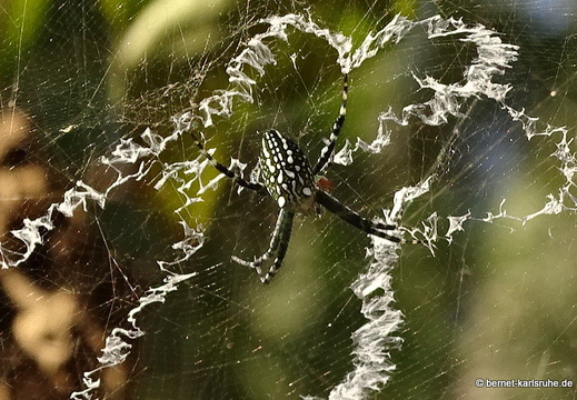 15-01-15-ban keun-276