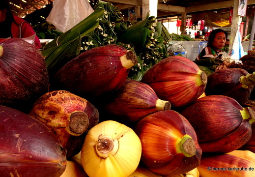 15-02-12-luangnamtha-088