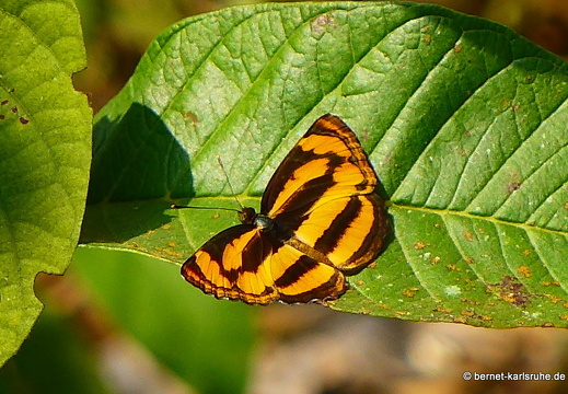 15-02-19-nongkiao-bootsfahrt-muang ngoi-040