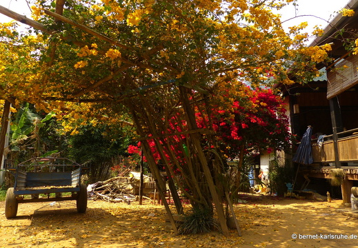 15-02-19-nongkiao-bootsfahrt-muang ngoi-102