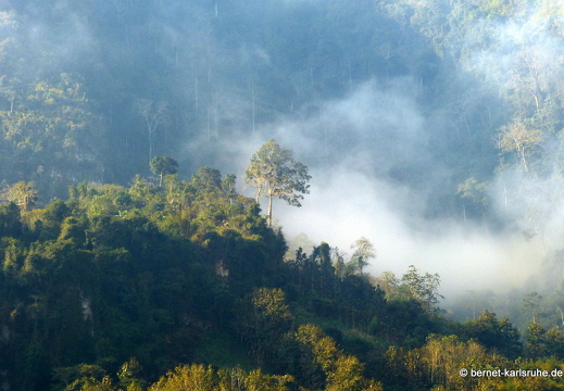 15-02-24-nongkiao-006