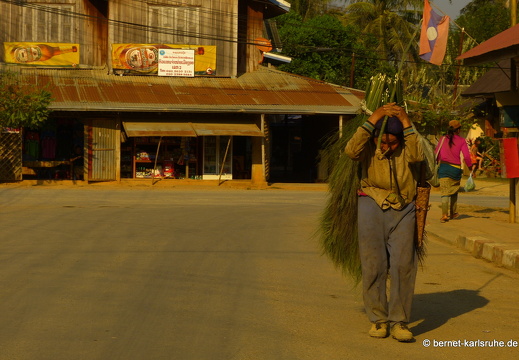 15-02-25-nongkiao-183