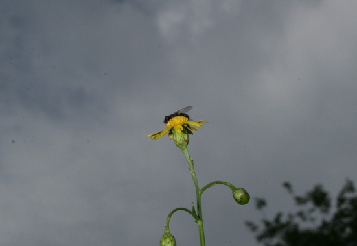 08-07-20-ratingen 229