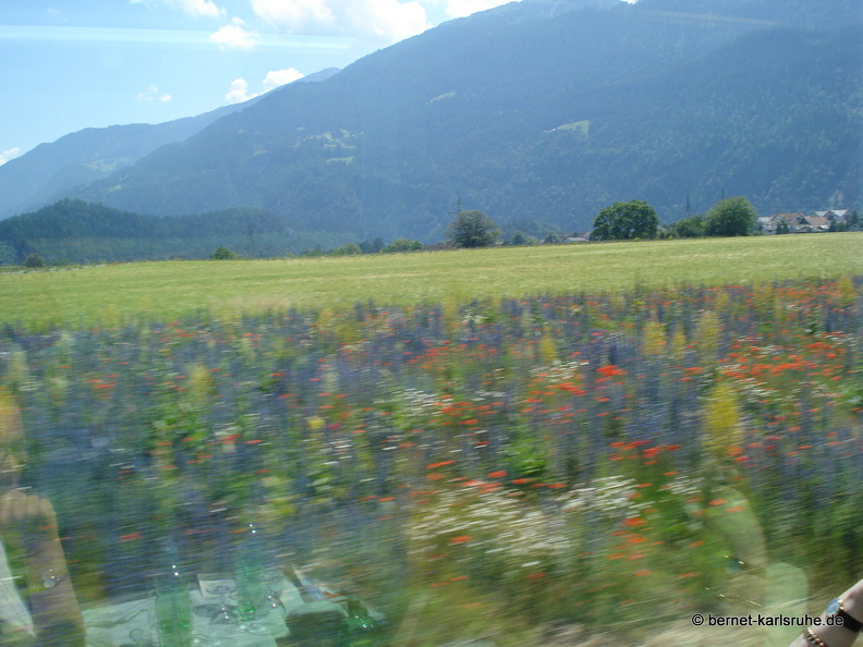 08-06-20-schweiz-glacier-express- (4).jpg