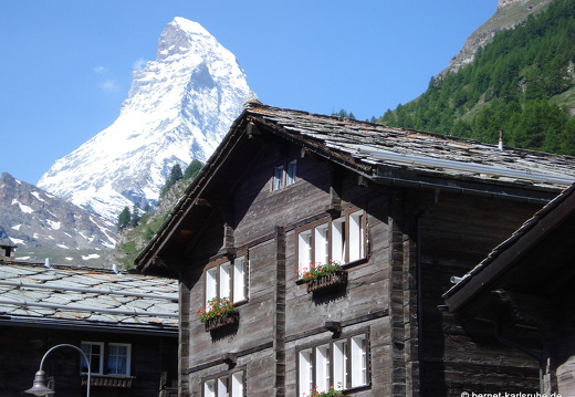 08-06-20-schweiz-glacier-express- (7)