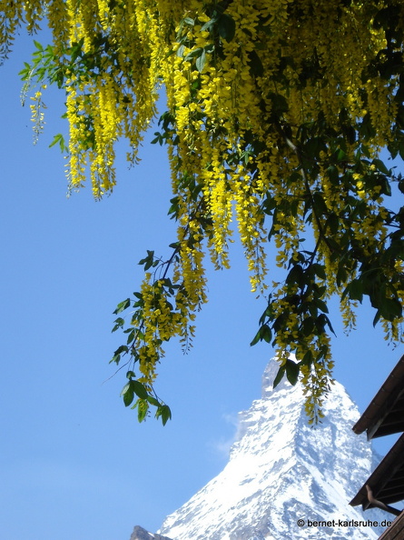 08-06-20-schweiz-glacier-express- (9).jpg