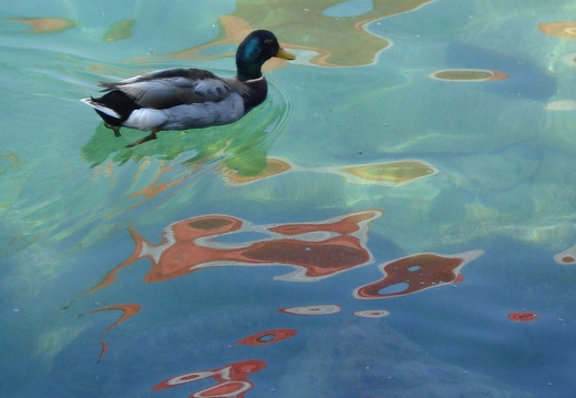 08-06-20-schweiz-glacier-express- (13)