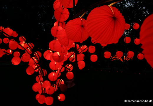 08-08-23-lichterfest 005