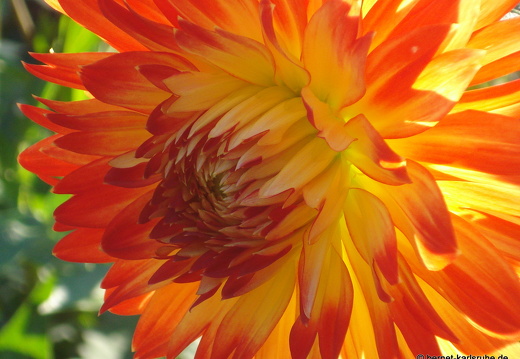 08-08-31-zoo 072