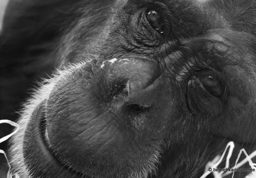 08-09-14-fauna-sophie-202