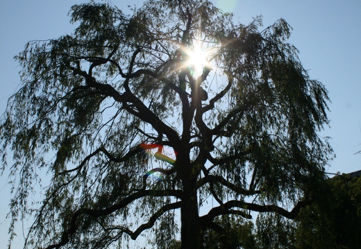 08-09-28-flora-weide 093