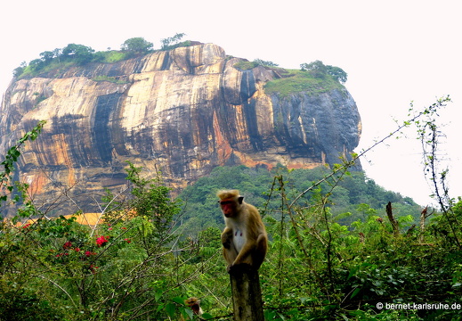 14-01-16-sigiriya-073