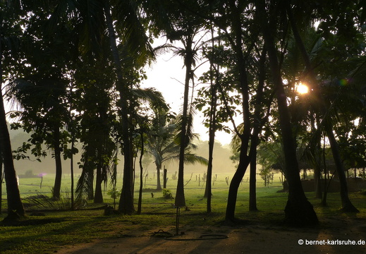14-01-18-sigiriya-paradise inn-005