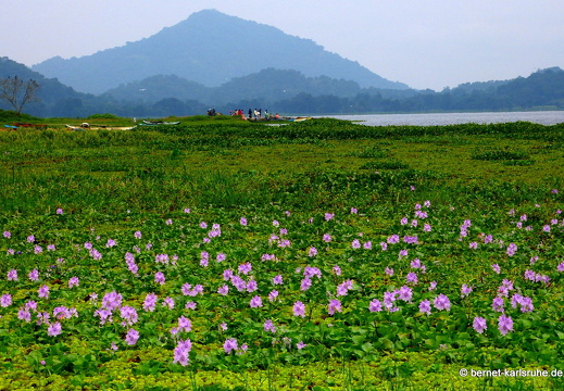 14-01-31-mahiyangana-am sorabora-see-007