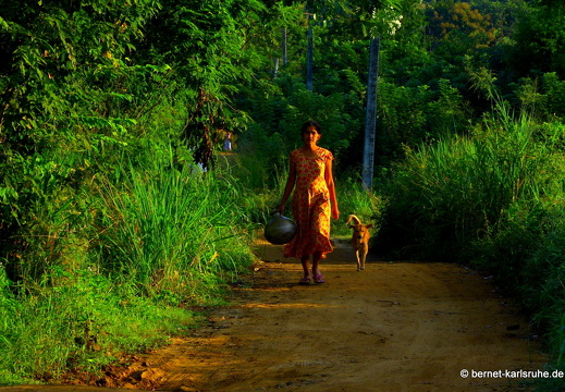 14-02-06-mahiyangana-024