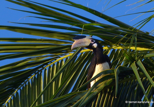 14-02-06-mahiyangana-am fluss-107