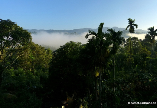 14-02-22-deniyaya-rainforestlodge-012